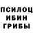 Псилоцибиновые грибы Cubensis Serena Chiavelli