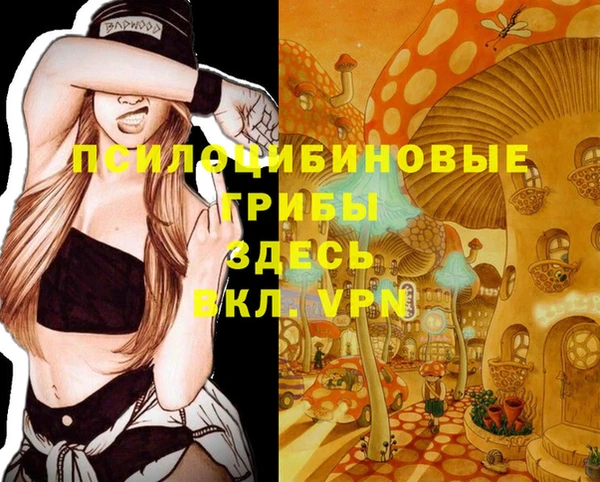 PSILOCYBIN Абдулино