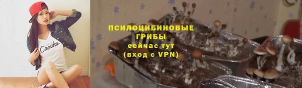 а пвп мука Абаза