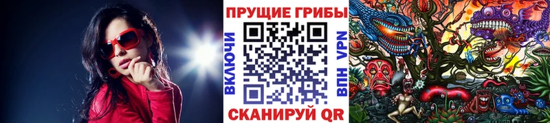 Галлюциногенные грибы ЛСД  Черногорск 