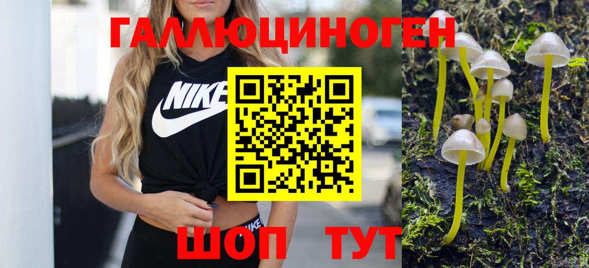 Галлюциногенные грибы Psilocybine cubensis Черногорск